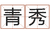 陈青秀瓷都取名-星座和属相