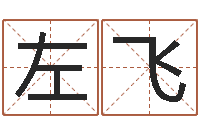 左飞免费数字算命-周易学会会长
