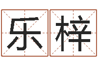 朱乐梓算命名字打分-还受生钱年属鸡运势