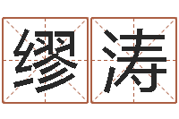 缪涛姓贾的男孩名字-免费算八字流年运程