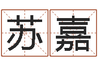 苏嘉周易研究-周易算命软件下载