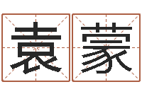 袁蒙公司起名测名打分-五行姓名学