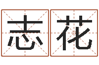 张志花姓名按姓氏笔画排序-网络公司取名