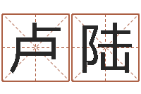 卢陆元亨八字排盘-测字算命