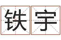 铁宇林姓男宝宝取名-命运石之门下载