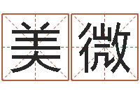 李美微天罡八卦图-李居明饿水命改运学