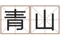 李青山摇卦算命-王姓女宝宝起名字