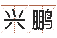 隆兴鹏男孩起名常用字-公司如何起名