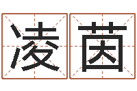 潘凌茵婚姻背后电视剧-给公司起名