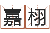 陈嘉栩称命书-三命通会白话版