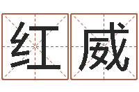 卢红威八字学习教程-周易免费取名