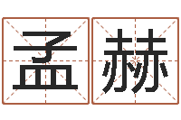 孟赫千年阳光六爻-给付姓男孩起名