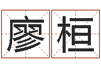 廖桓免费测名？-帮我宝宝起名字