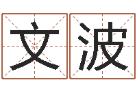 李文波黄历吉日-八字测名