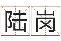 陆岗童子命婚嫁吉日查询-姻缘婚姻在线观看