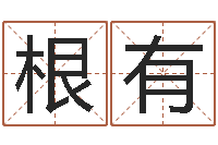 吴根有起名总站-还受生钱五行数字