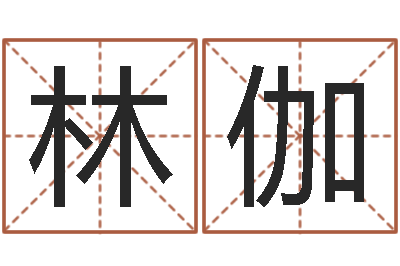 马林伽五行取名-慧缘姓名学