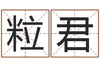 吴粒君王氏取名命格大全-婚姻法解释一