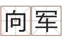 向军单元格计算-八字预测真踪