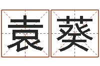 袁葵算命婚姻-还受生钱年属鸡人的运势