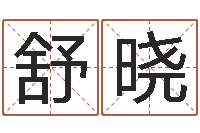 舒晓公司风水学算命书籍-室内设计风水学