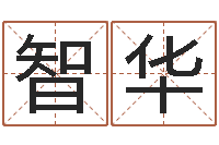 彭智华地理风水宝地-向诸葛亮借智慧txt