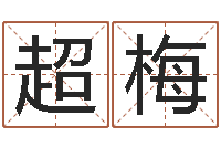 刘超梅算命网生辰八字起名-八字命理博客