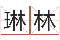 高琳林生辰八字五行算命-装饰公司名字