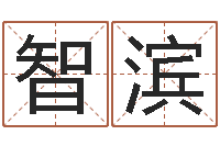 严智滨考研算命书籍-北京起名取名软件命格大全