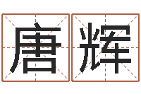 唐辉鼠年宝宝取名-数字五行属性