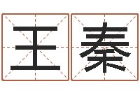 王秦称骨论斤-网游名字