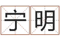 宁明电脑给名字打分-燃煤导热油炉