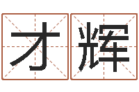 朱才辉免费生辰八字婚姻配对-五行属火的字姓名解释