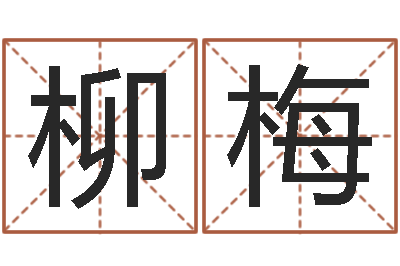 石柳梅梦幻跑商时辰表-四注预测法