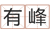 李有峰还受生钱网上算命-经典名字