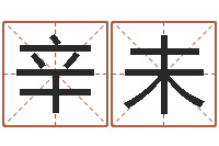 王辛未周易全解-少儿补救命格大全