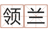 洪领兰四柱东方预测-北京起名宝宝免费起名命格大全