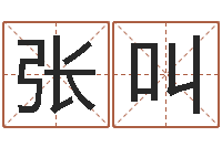 张叫免费按生辰八字起名-北方周易