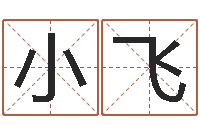 李小飞四柱八字与五行-名字爱情缘分测试