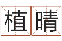 张植晴风水布局-堪舆师