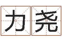 朱力尧周易解梦命格大全-公司起名测试