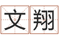 郑文翔农村建房审批-命运之轮