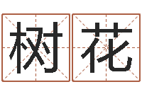 曹树花怎样给姓名打分-周易免费起名软件