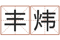 陈丰炜三藏免费算命命格大全-四柱财运