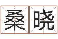 桑晓免费紫薇算命-房子风水