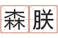 盛森朕免费生辰八字测名字-五行属性查询表