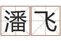 潘飞公司在线取名-双亲