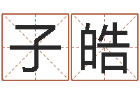 刘子皓跑跑卡丁车起名字-给虎宝宝起名字