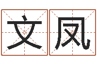 李文凤如何选择墓地-周易在线