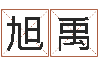 郑旭禹民间取名大全-狡猾的风水相师txt